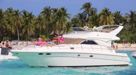 Private yacht Sea Ray Flybridge 46f - Tour 2 Hours