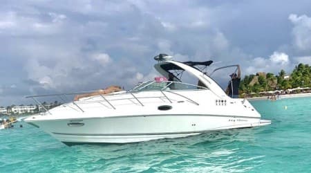   Private Yacht Campion 32ft Cancun - Tour 4 Hours