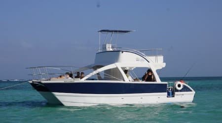 Rich And Famous Private Family FunCat
