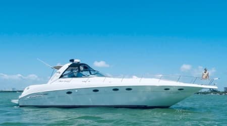 Sea Ray 46ft - Tour 2 Hours 