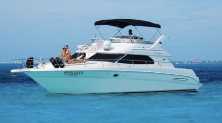 Sea Ray Flybridge 46ft - Tour 2 Hours 
