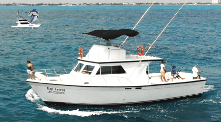 Fishing Charter Defender 46ft - Tour 4 Hours