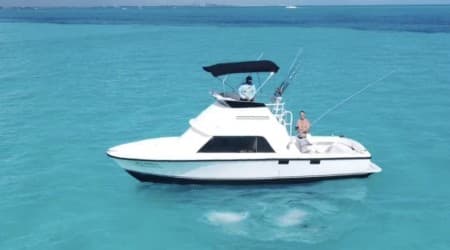 Fishing Charter Bertram 31ft - Tour 4 Hours