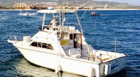 33´ Fish On