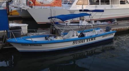 Sushi Time Sport Fishing