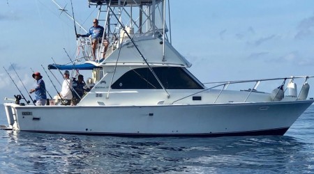 Sport fishing on the high seas and walk through the Bay of Cancun and Isla Mujer