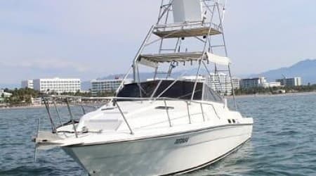 Sea Ray 34 ft. "Totoaba" Nuevo Vallarta Fishing