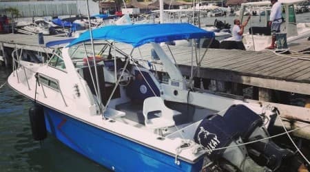 Deep sea/ Inshore Sport fishing  24' Noj Kay