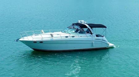 Searay Sedan 42 ft 