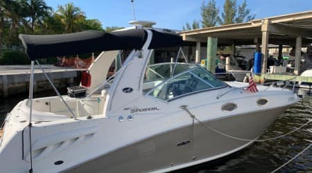 Sundancer 28ft 150 USD per hour 