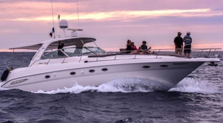 Cabo Luxury Yacht, Private Tour, all-inclusive - Sea Ray 460