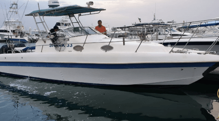 Shark 33