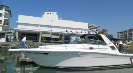 Sea Ray 36