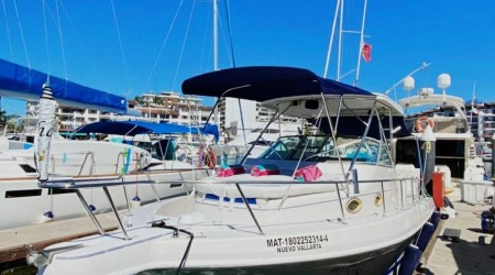 Lovely Proline 30