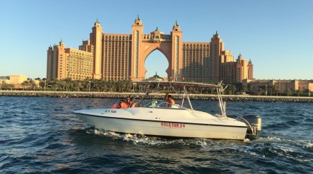 GOLDSUN 24 