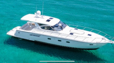 Ultimate VIP Charters 