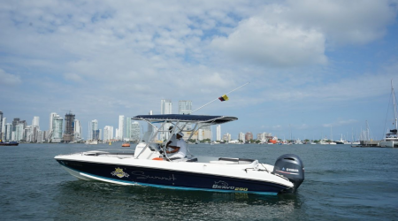 SUMMIT - 29ft SPEEDBOAT