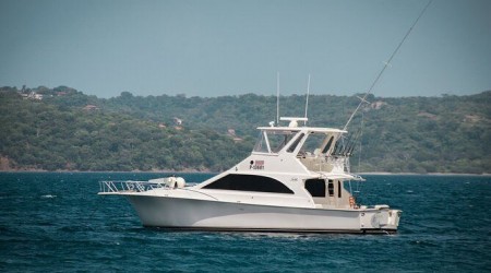 Skip crowded boat tours for this private yacht experience packed with watersport