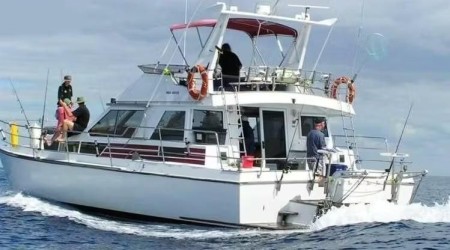 Gulf Harbour Fishing Charters Auckland - 42' Double Rum Catamaran for 12 People
